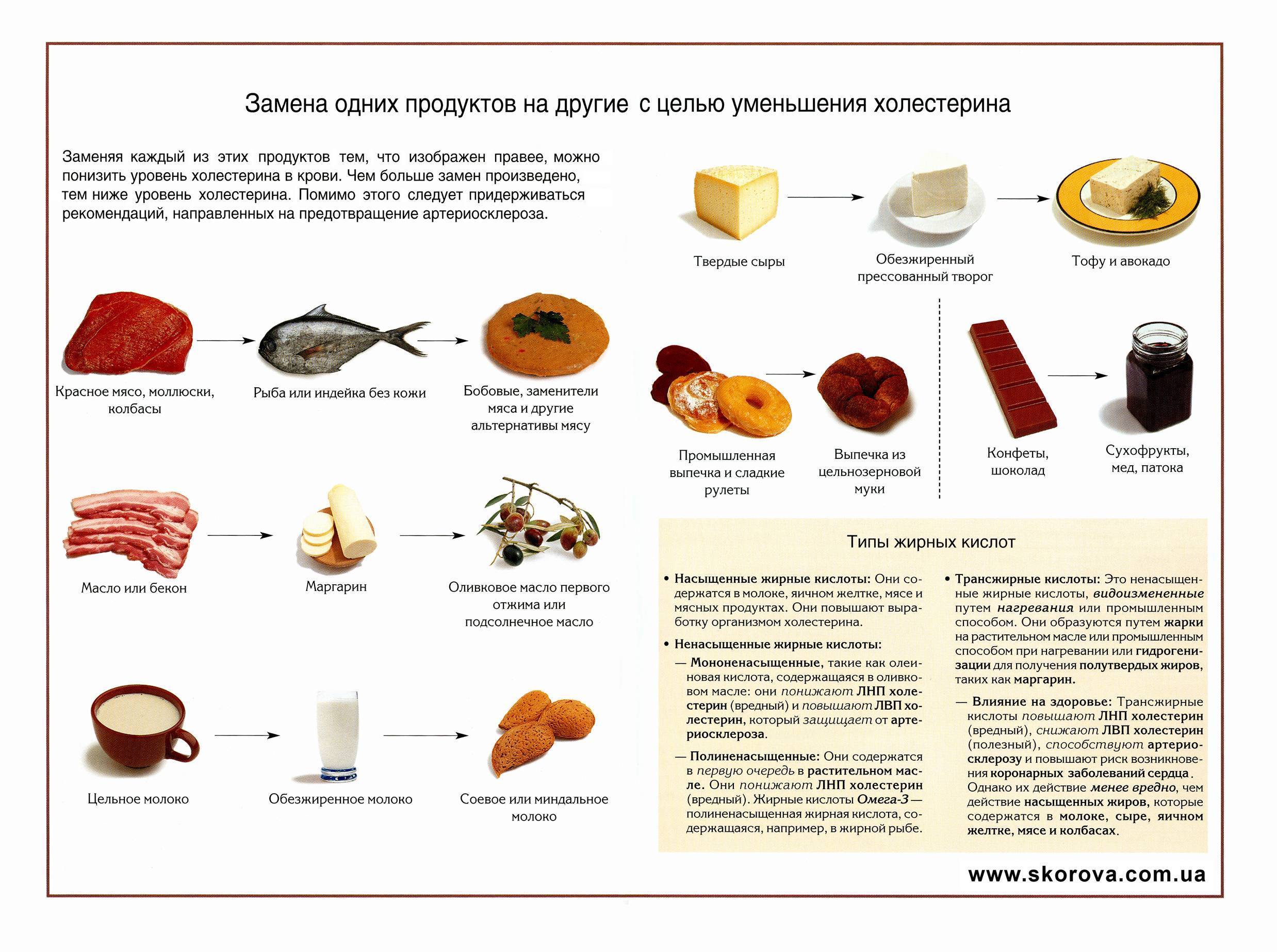 Чем заменить мясо в рационе питания при переходе на вегетерианство: список продуктов для замены животного белка