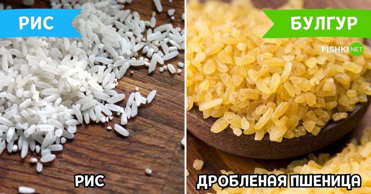Чем отличаются крупы булгур и перловка: основная разница, чем отличаются каши