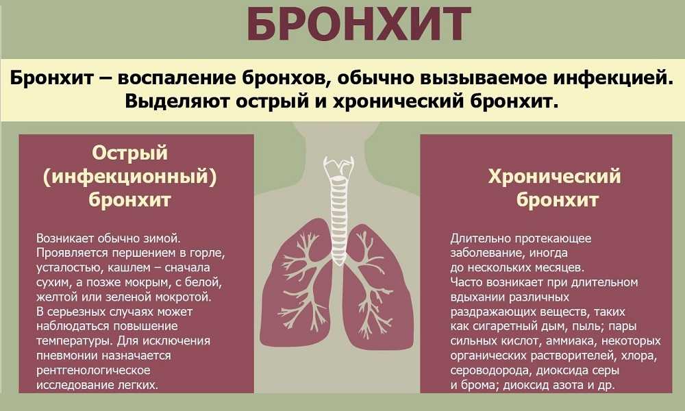Трахеит и бронхит: симптомы, сходства и различия
