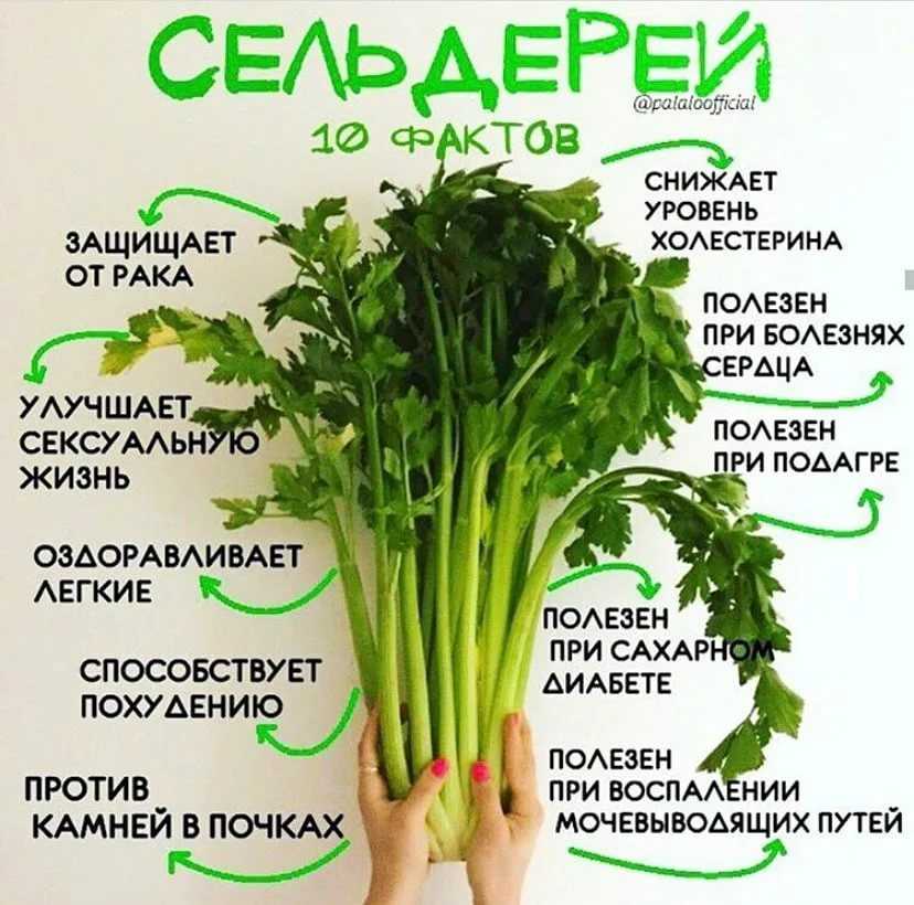 Можно ли использовать молотый сельдерей вместо семян сельдерея?
