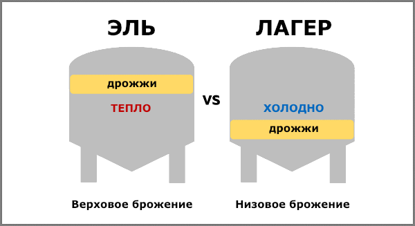 В чем разница между элем и пивом?