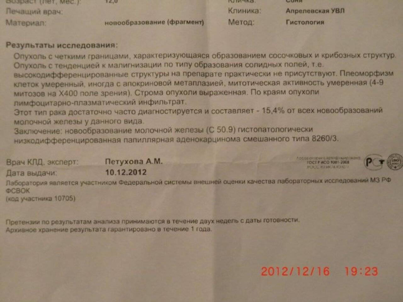 В чем разница между гистологией и биопсией?