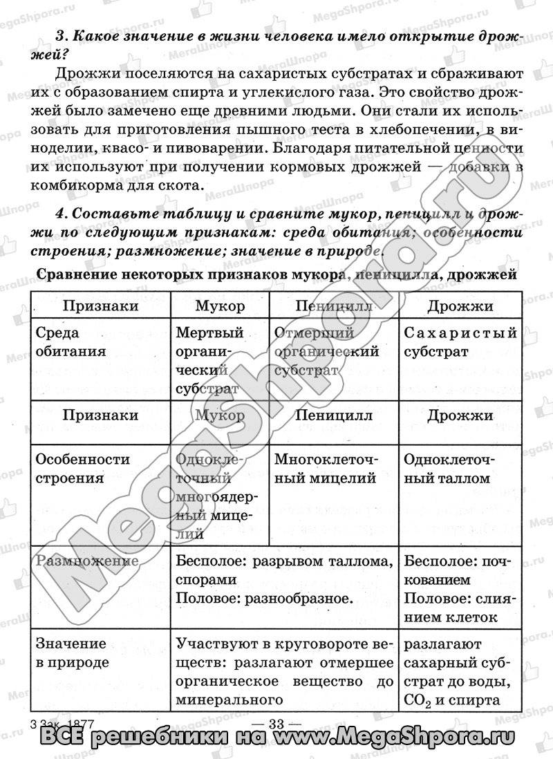 Чем пеницилл отличается от мукора?