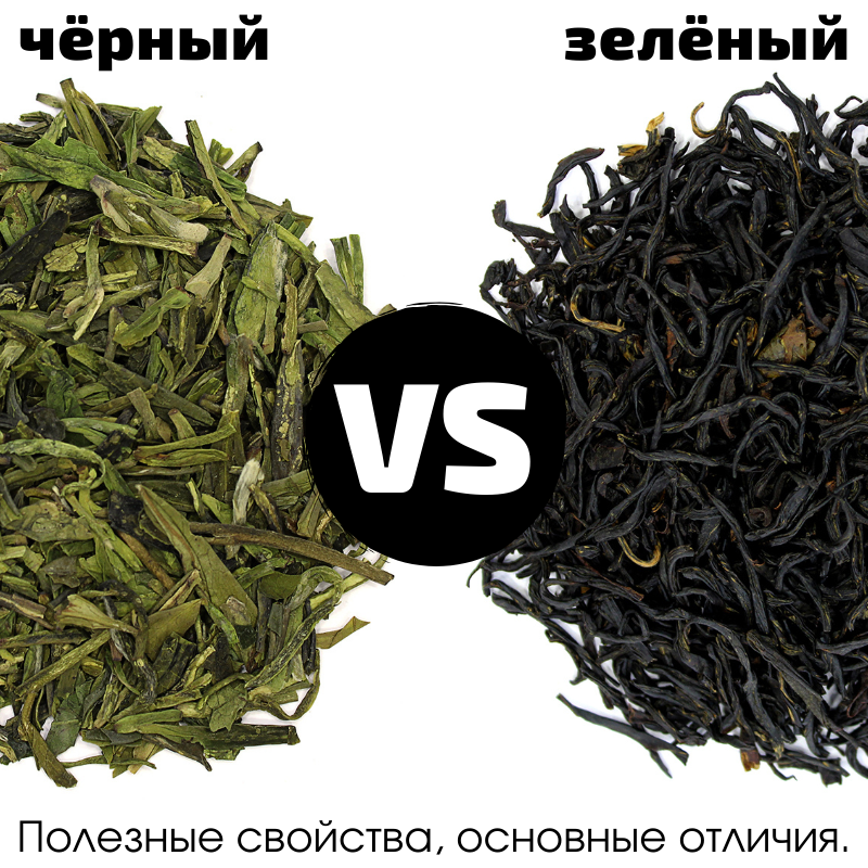 Зеленый чай лучше черного? 10 научных фактов