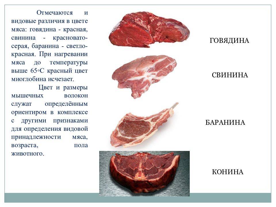 Телятина - чье это мясо, калорийность, норма в день, польза