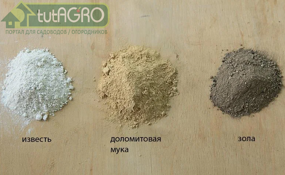 Мел и известь: разница и применение