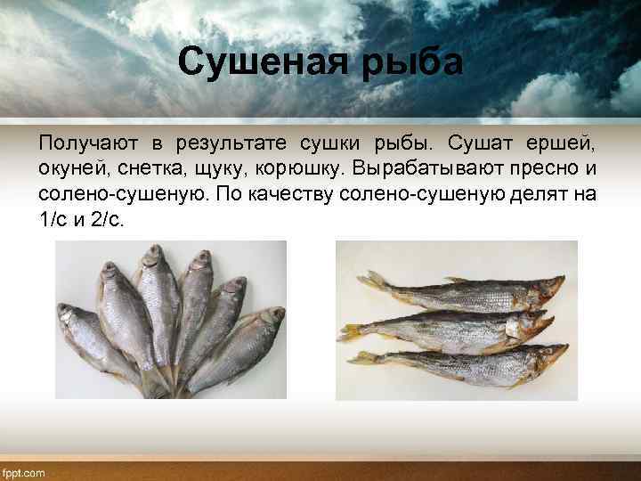 Вяленая или сушеная рыба - в чем отличия и как выбрать лучшую? - profi-guruask.ru