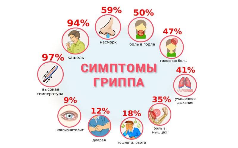 Свиной грипп: почему он вернулся и как лечиться