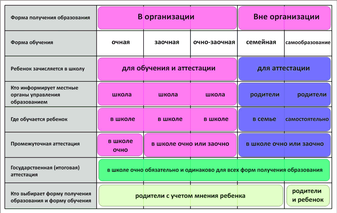 Чем отличается классическое заочное обучение от дистанционных технологий обучения - абитуриент24