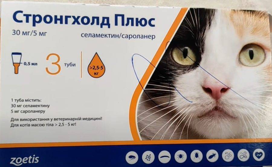 Обзор препарата фронтлайн для кошек и котят: инструкция по применению, отзывы