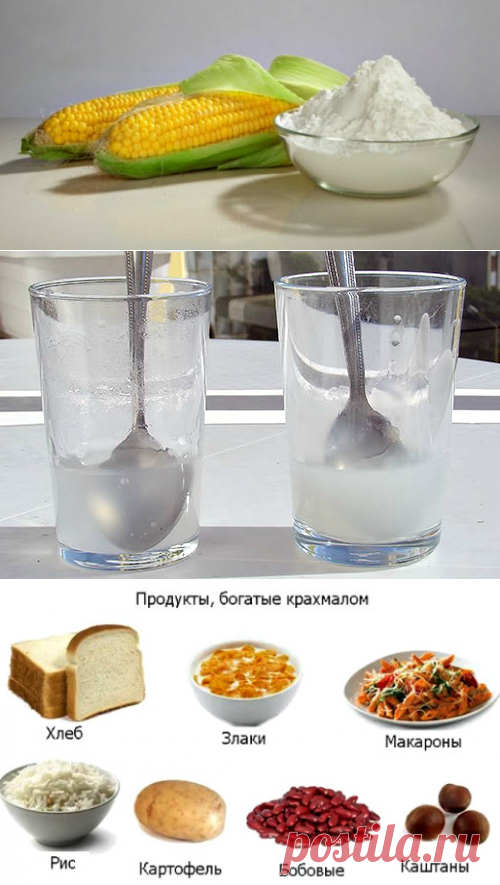 Чем отличается кукурузный крахмал от картофельного: можно ли заменить один другим, какой из них лучше, что полезнее и в чем разница, использование в выпечке