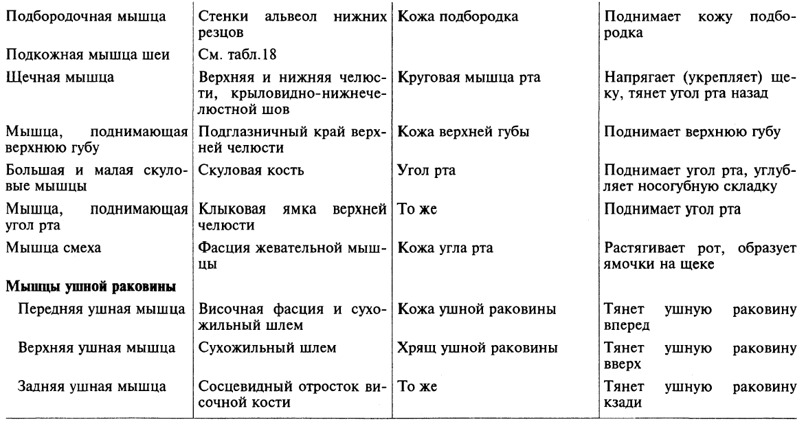 Основные функциональные мышцы и фасции головы - «ваш доктор» - ваш медицинский журнал