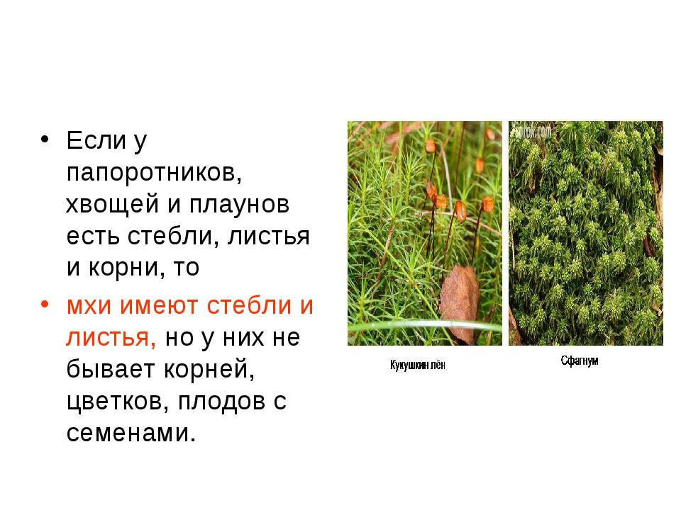 Биология