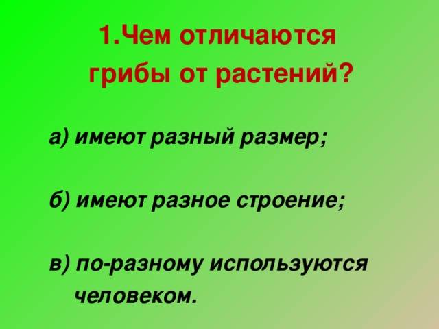 Отличия между грибами и растениями