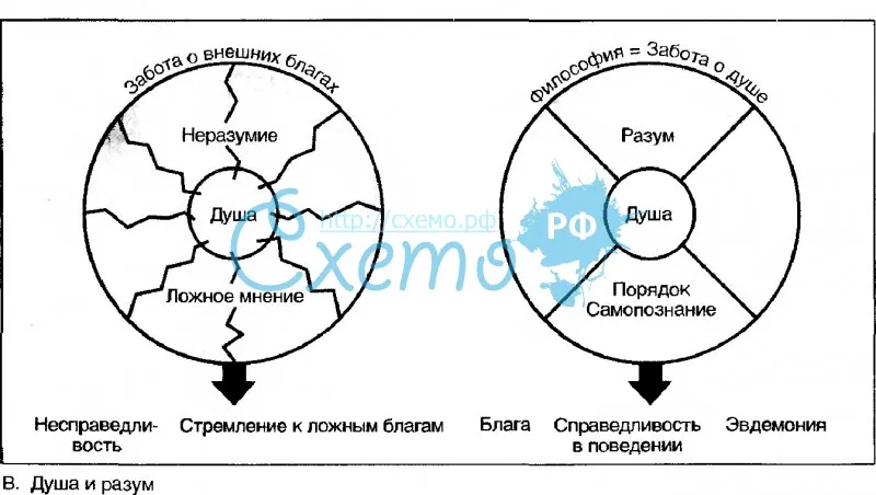 Различия между умом и разумом: что их отличает и как они взаимодействуют