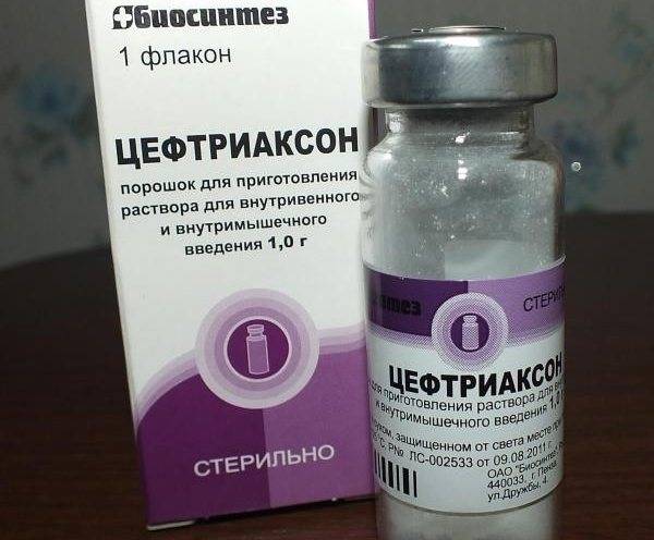 Что эффективнее цефотаксим или цефтриаксон: сравнительная характеристика
