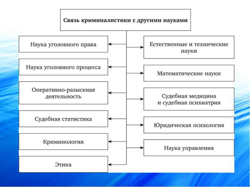 Криминология и криминалистика: что между ними общего и в чем разница