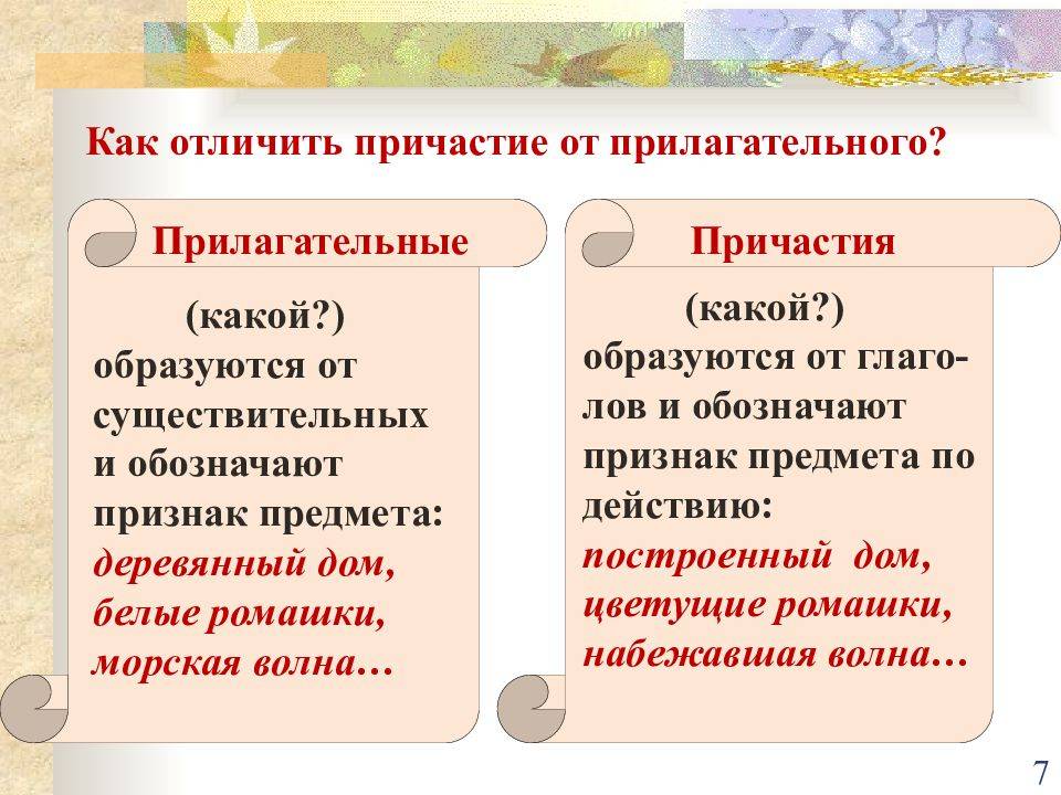 Причастие⭐️: что это такое, на какие вопросы отвечает, как отличить от прилагательного, примеры