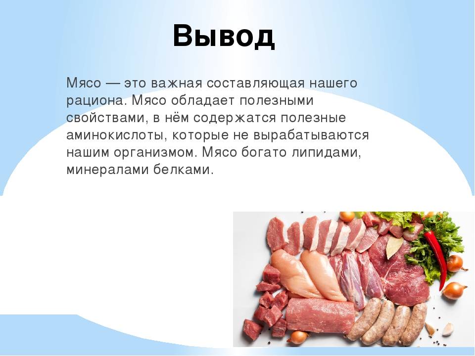 Чем полезно мясо утки