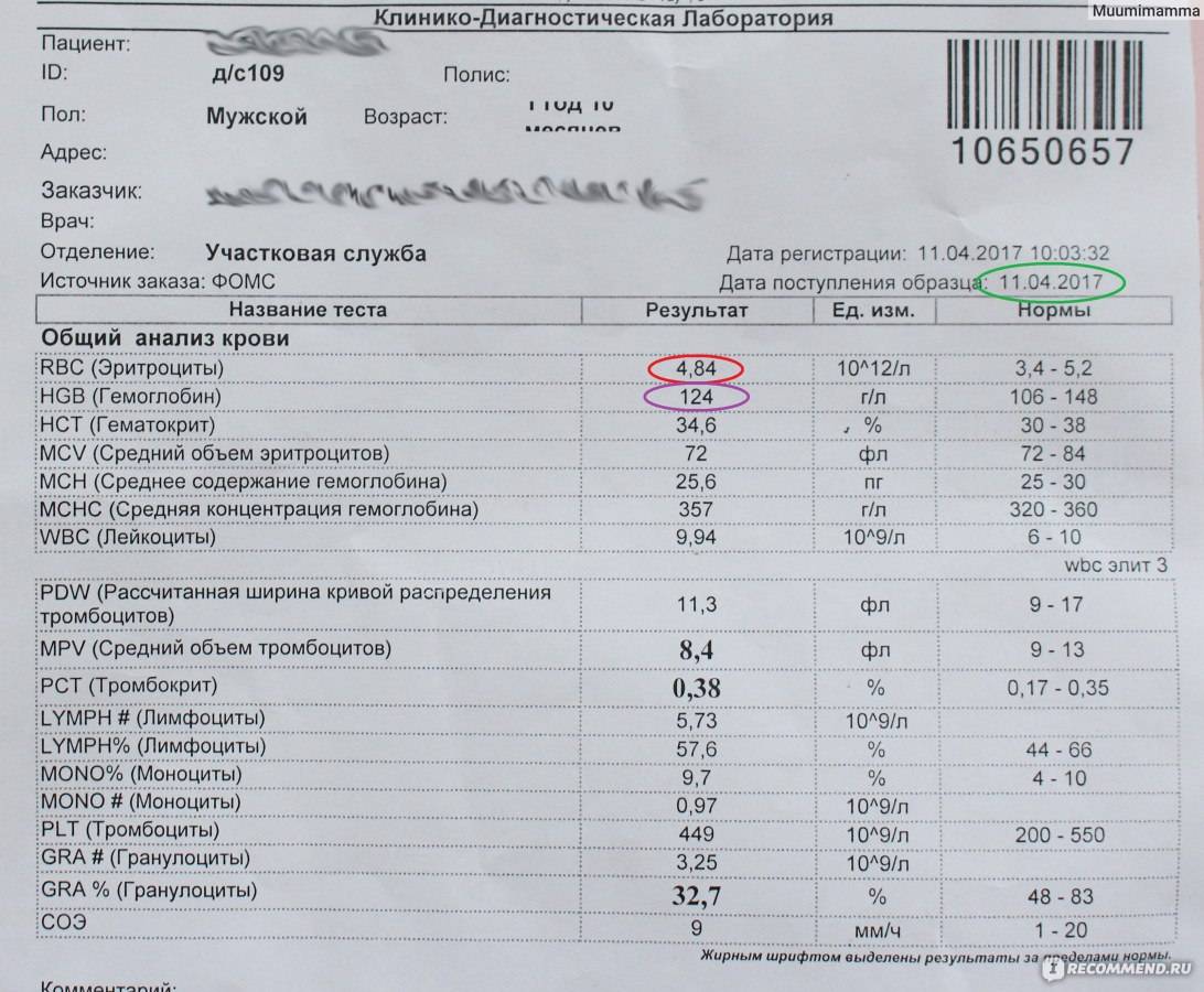 Сывороточное железо и ферритин крови - это одно и то же?