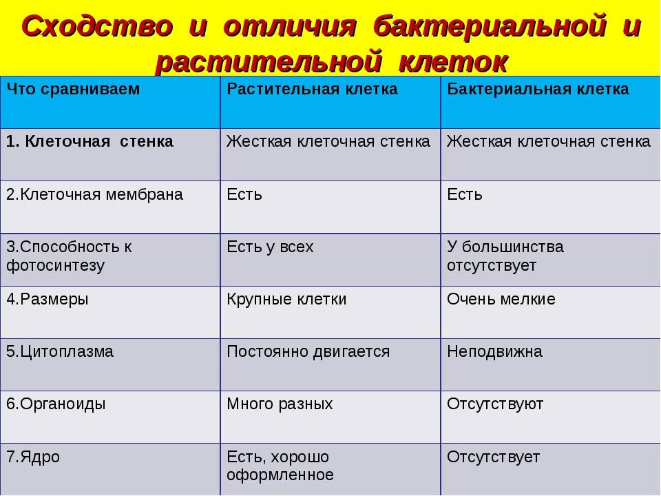 Чем животные отличаются от растений кратко