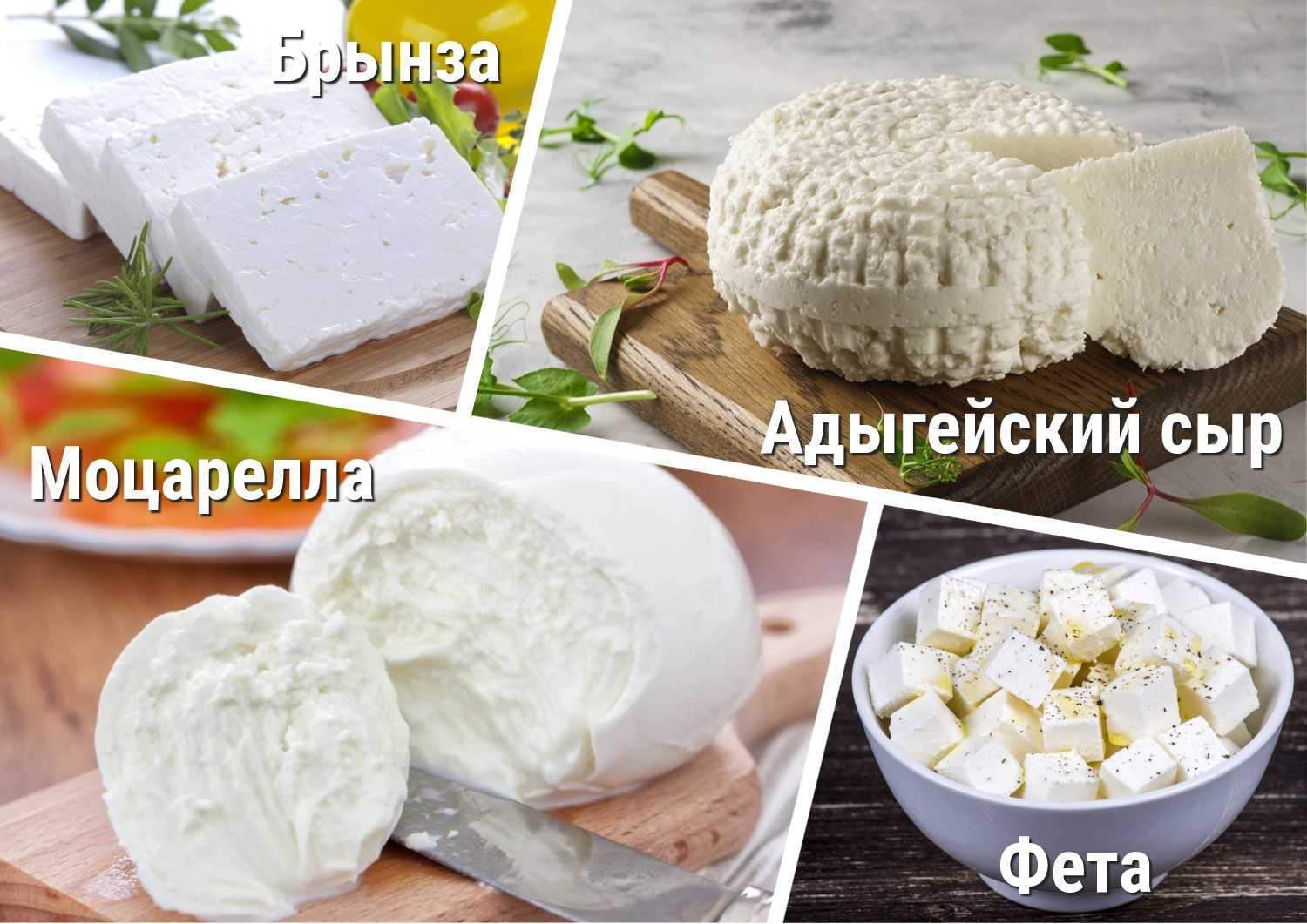 Сыр и брынза — чем отличаются эти продукты? адыгейский сыр: польза и вред, рецепт в домашних условиях из цельного молока
