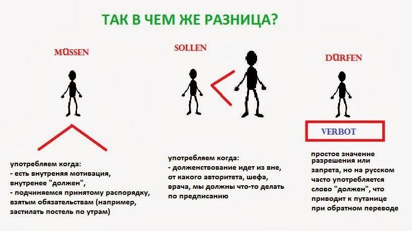 В чем разница между родом, видами, подвидами, разновидностями и культурными сортами?: советы, выращивание и уход