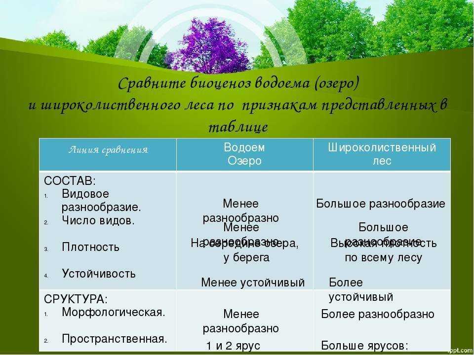 В чем отличие между прудом и озером - questquotient.ru