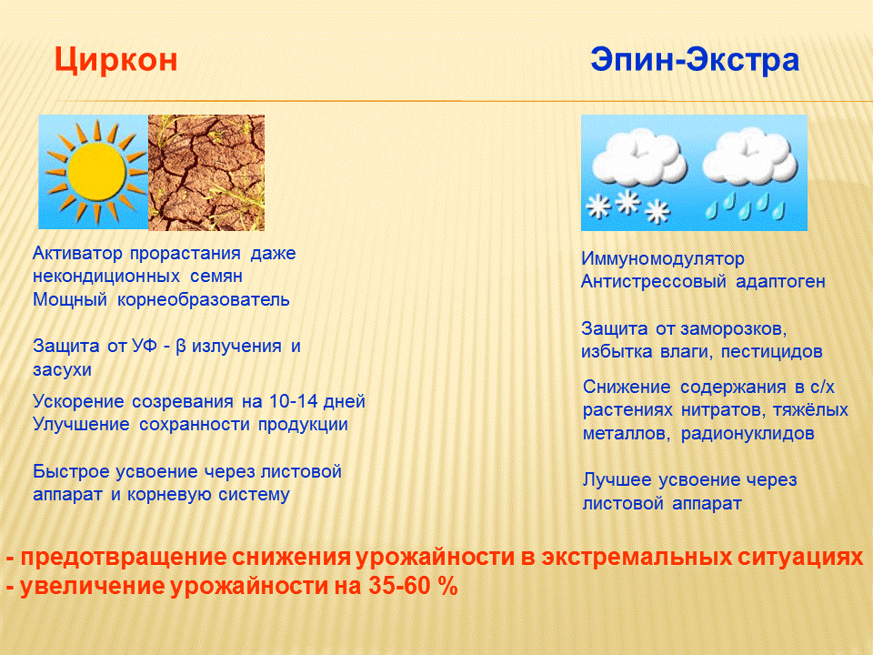 Циркон для замачивания семян. Эпин и циркон. Эпин-Экстра, циркон. Дозировка циркон. Сравнение эпина и циркона.