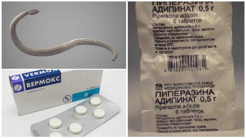Противогельминтные препараты / современная антимикробная химиотерапия (руководство для врачей)