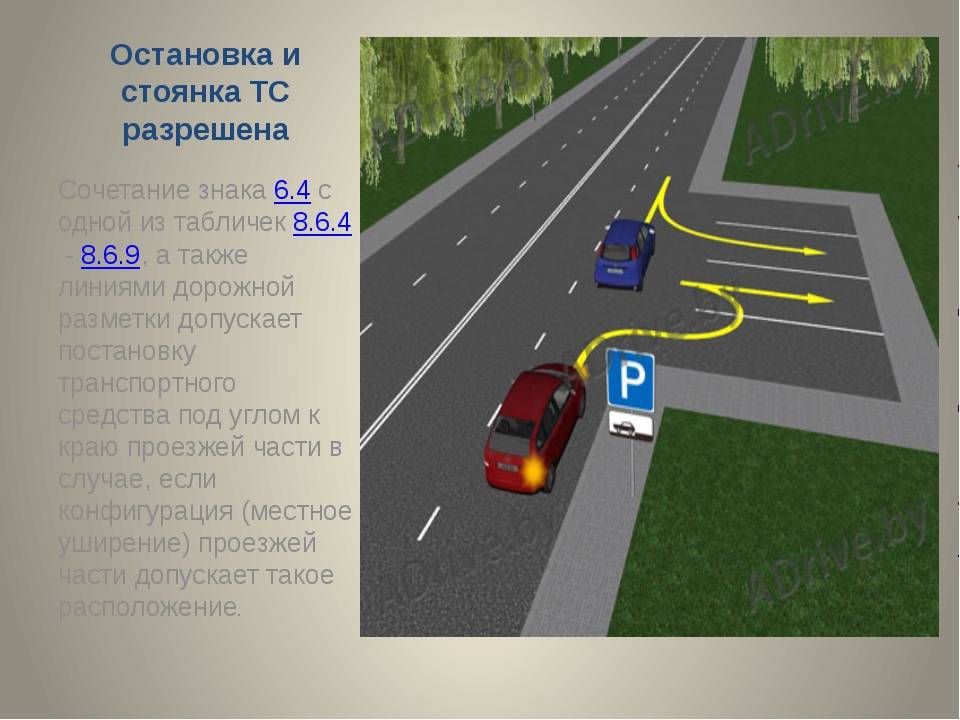 Что является остановкой? - [ответ инспектора] 2024 - автошкола орбита