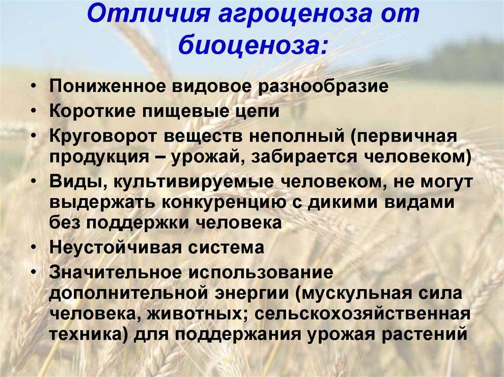Экосистема, ее компоненты. цепи питания. разнообразие и развитие экосистем. агроэкосистемы. | егэ по биологии, подготовка от экзамера