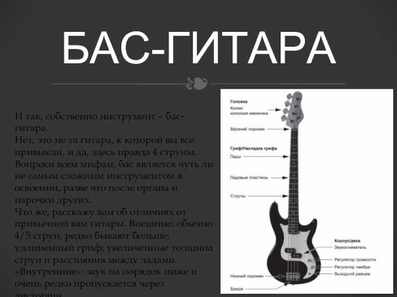 Проект про гитару 9 класс