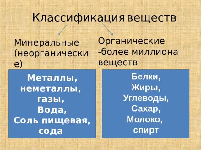Что такое органические и неорганические вещества: различия и примеры в природе и жизни человека