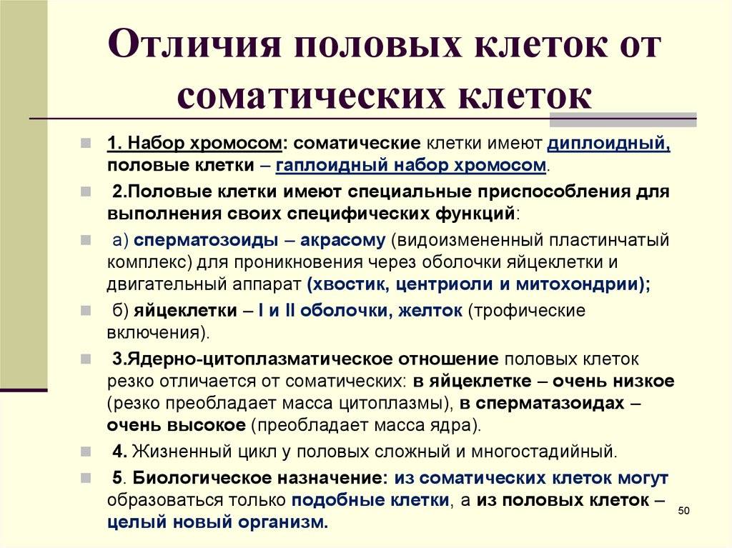 Чем половые клетки отличаются от соматических