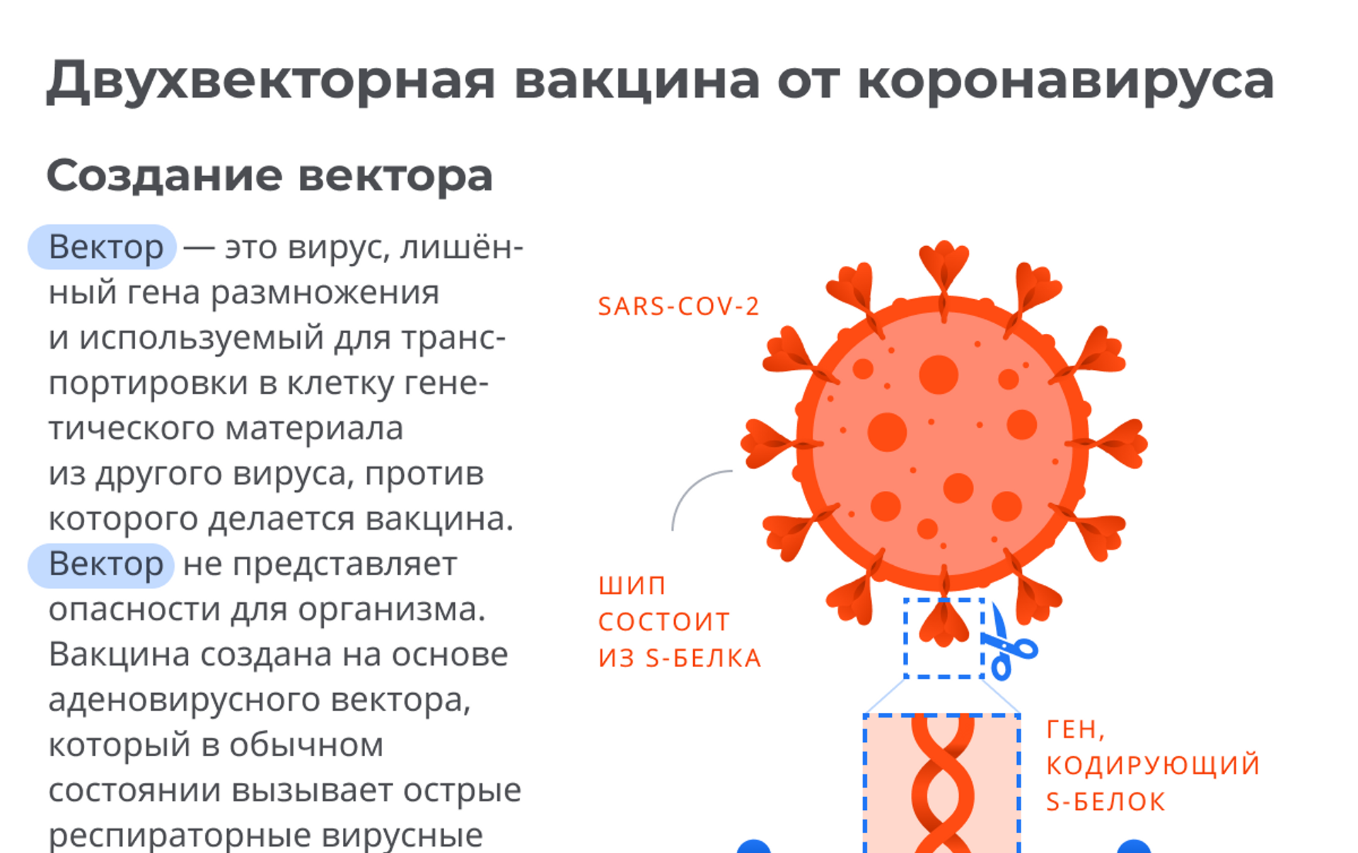 Российская вакцина от коронавируса: все, что нужно знать - hi-news.ru
