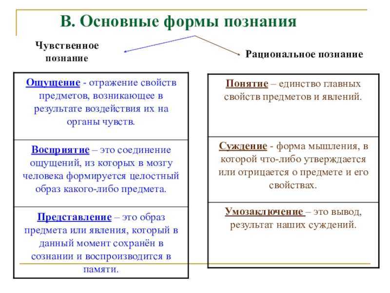 Рациональное познание в отличие от чувственного - что это такое: формы и ступени | mma-spb.ru