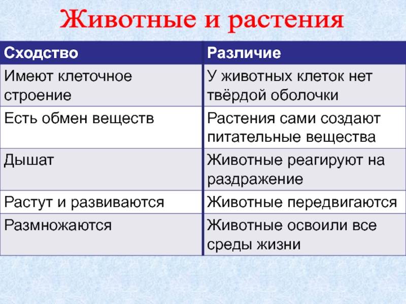 Отличия растений от других живых существ - особенности строения и жизнедеятельности