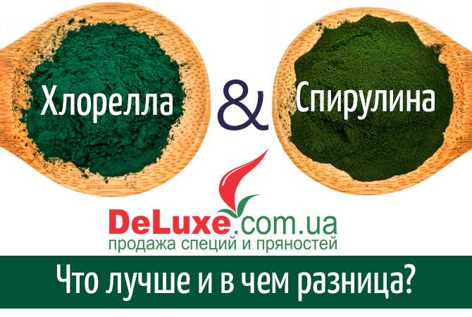 Топ-11 лучших cпирулин – рейтинг 2024 года