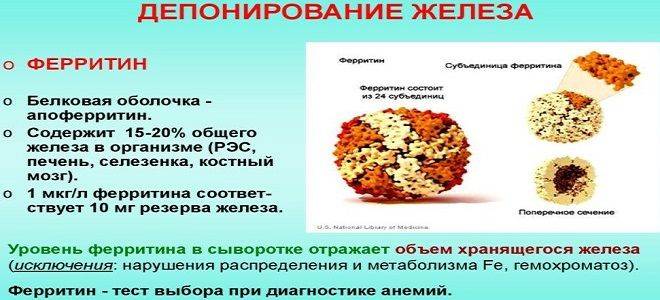 Что лучше сдать железо или ферритин