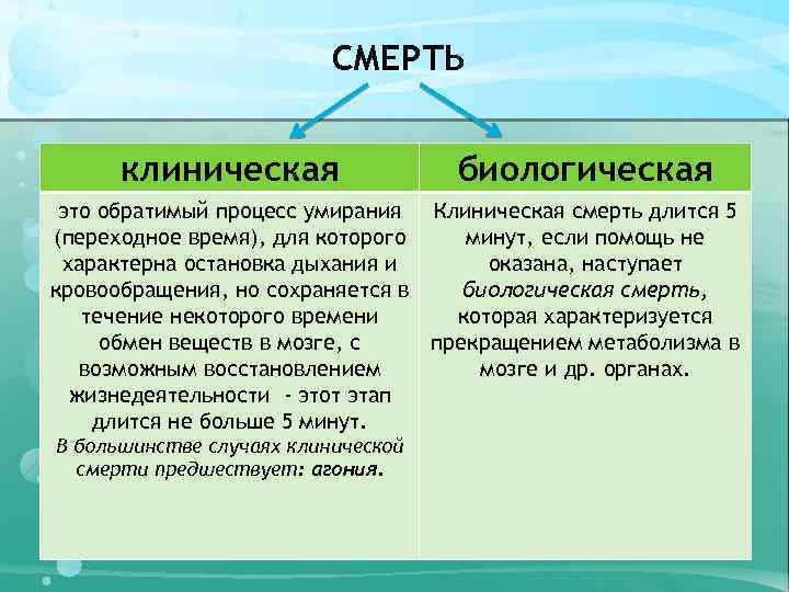 Чем клиническая смерть отличается от биологической?