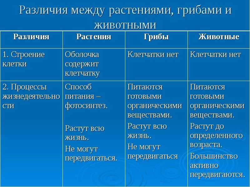 В чем заключается сходство и различие клеток каковы причины