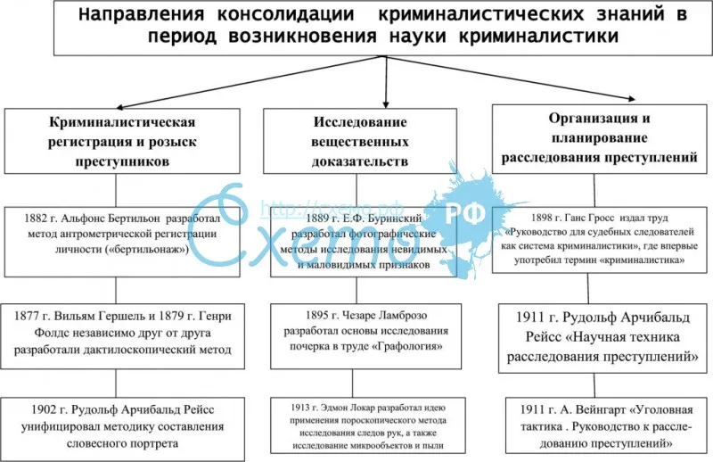 6 различий между криминологией и криминалистикой