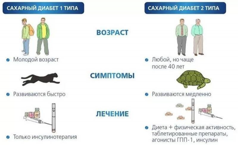 Сахарный диабет 1 и 2 типа. просто о сложном