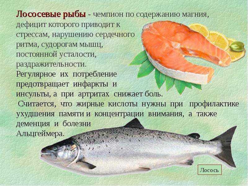 Лосось и семга: в чем разница