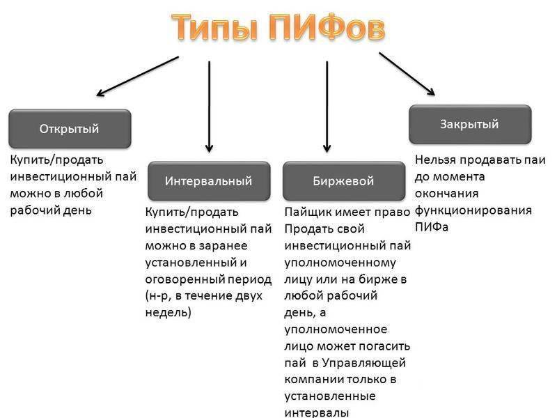 Бпиф vs etf: почувствуйте разницу