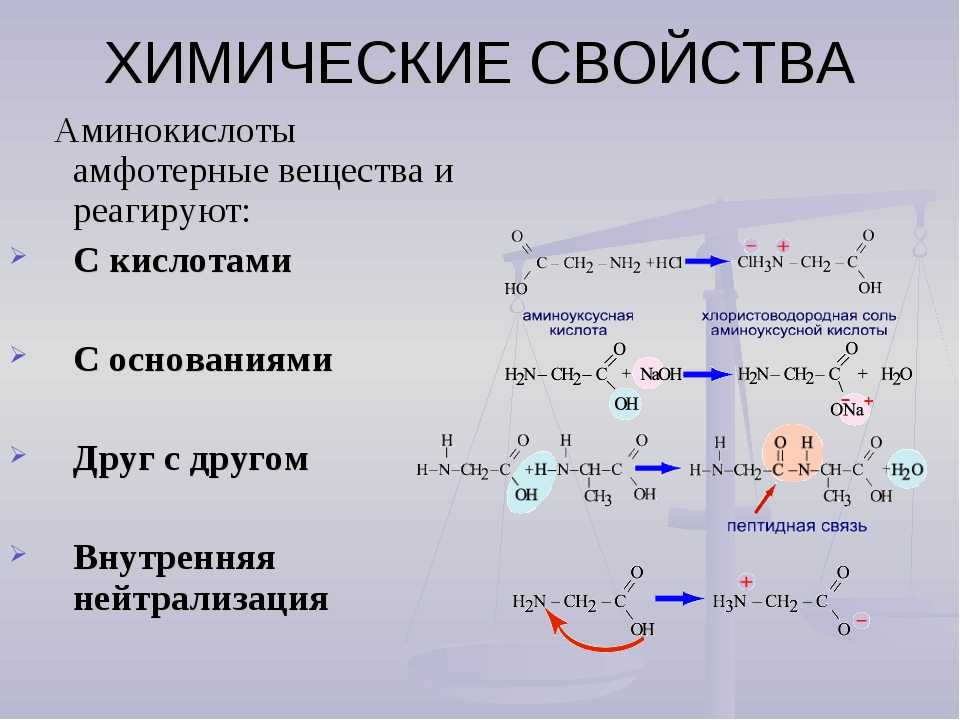 Что лучше протеин или аминокислоты? - бомба тело