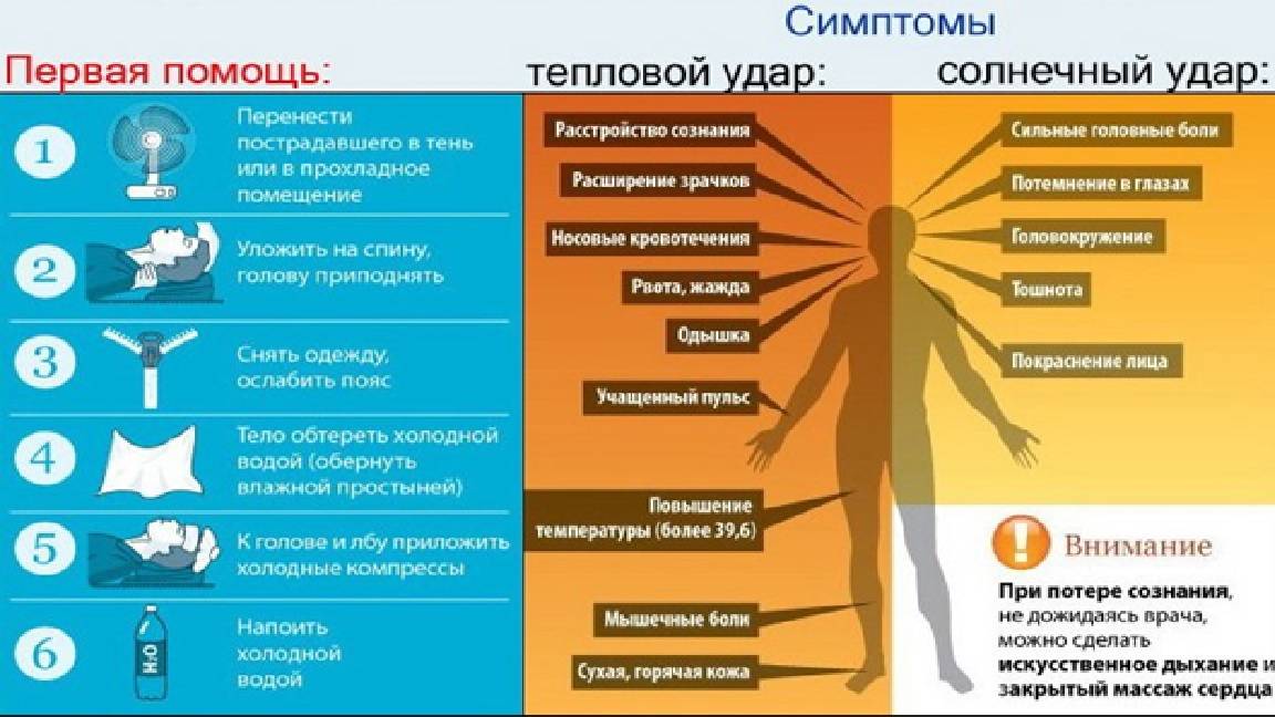 Чем тепловой удар отличается от солнечного?