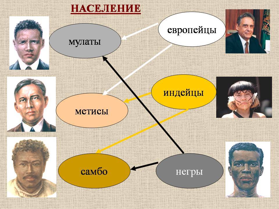 Метисы, мулаты и креолы: подробное сравнение и объяснение различий