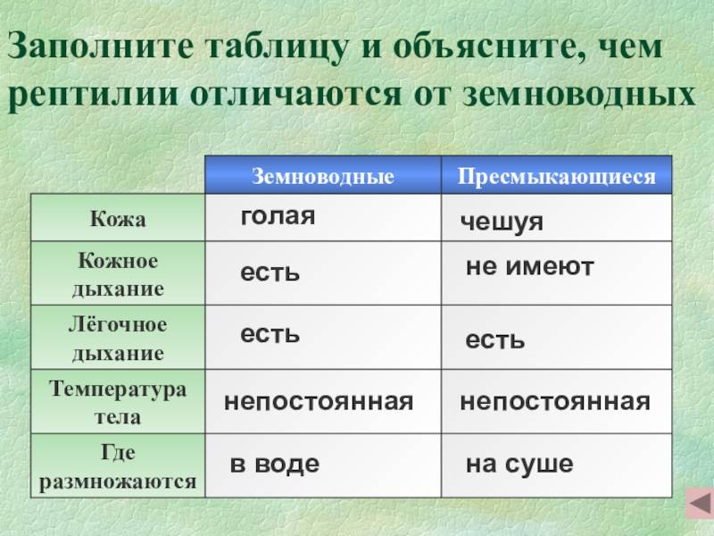 Банников а.г., даревский и.с., рустамов а.к. земноводные и пресмыкающиеся ссср. введение - электронная биологическая библиотека